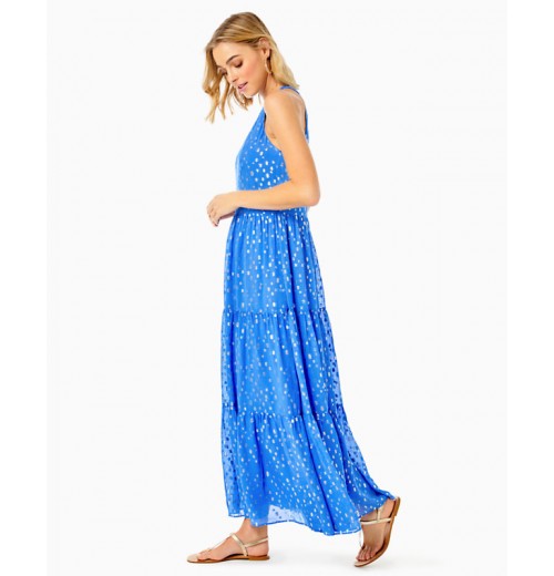 Beccalyn Maxi Dress Beccalyn Maxi Dress