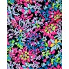 Brenta Tankini Top Brenta Tankini Top