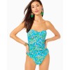 Flamenco One-Piece Swimsuit Flamenco One-Piece Swimsuit