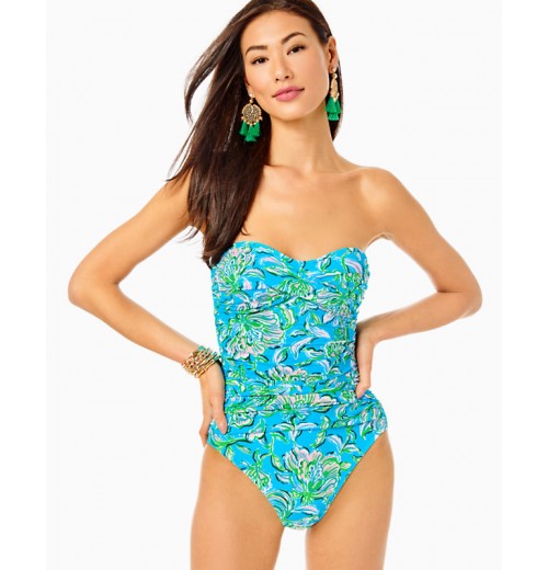 Flamenco One-Piece Swimsuit Flamenco One-Piece Swimsuit
