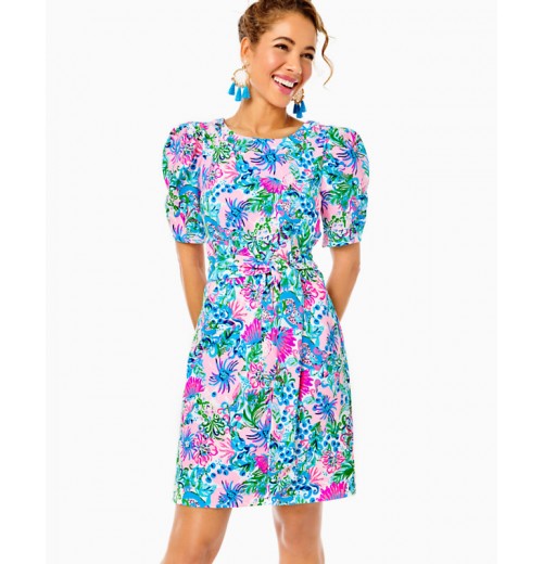 Harriet Dress Harriet Dress
