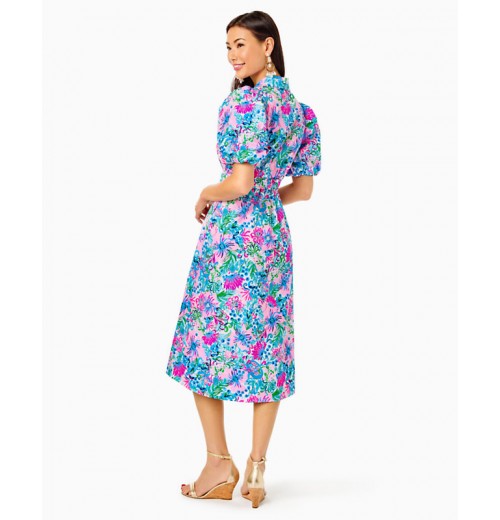 Tassie Midi Dress Tassie Midi Dress