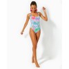 Brin One-Piece Swimsuit Brin One-Piece Swimsuit