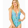 Jaspen One-Piece Swimsuit Jaspen One-Piece Swimsuit