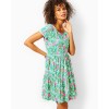 Geanna Swing Dress Geanna Swing Dress