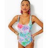 Brin One-Piece Swimsuit Brin One-Piece Swimsuit