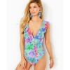 Huey Ruffle One-Piece Swimsuit Huey Ruffle One-Piece Swimsuit