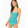 Flamenco One-Piece Swimsuit Flamenco One-Piece Swimsuit