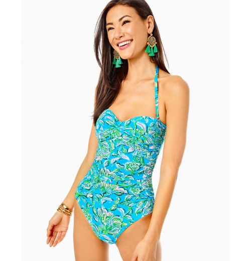 Flamenco One-Piece Swimsuit Flamenco One-Piece Swimsuit