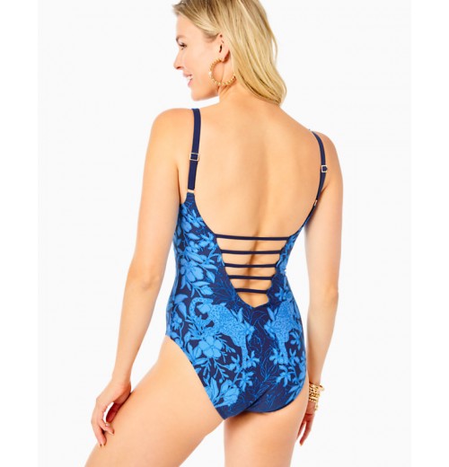 Jaspen One-Piece Swimsuit Jaspen One-Piece Swimsuit
