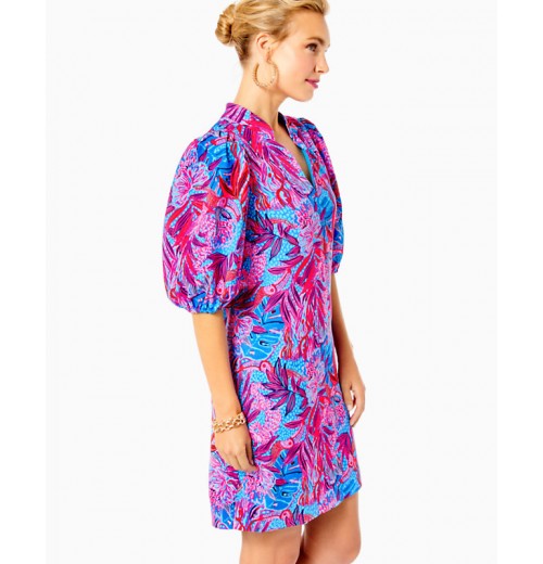 Arcella Dress Arcella Dress