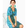 Ilia Maxi Dress Ilia Maxi Dress