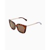 Sun Tan Reader Sunglasses Sun Tan Reader Sunglasses