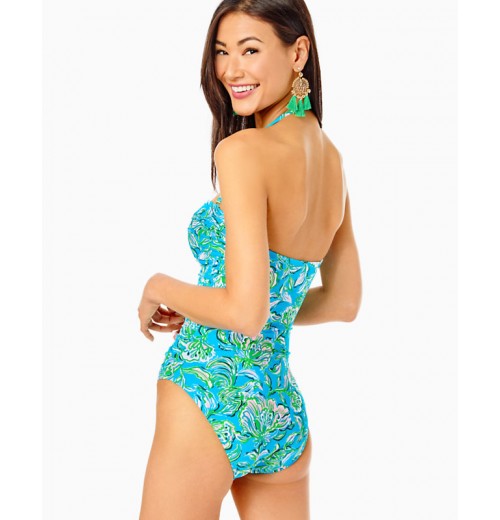 Flamenco One-Piece Swimsuit Flamenco One-Piece Swimsuit
