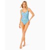 Brin One-Piece Swimsuit Brin One-Piece Swimsuit