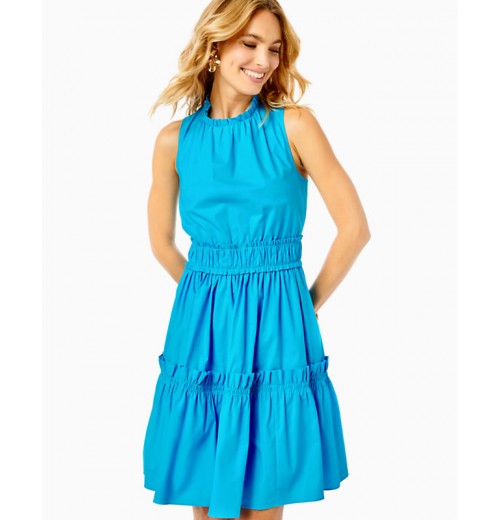 Elina Stretch Ruffle Dress Elina Stretch Ruffle Dress