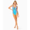 Jaspen One-Piece Swimsuit Jaspen One-Piece Swimsuit