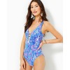 Jaspen One-Piece Swimsuit Jaspen One-Piece Swimsuit