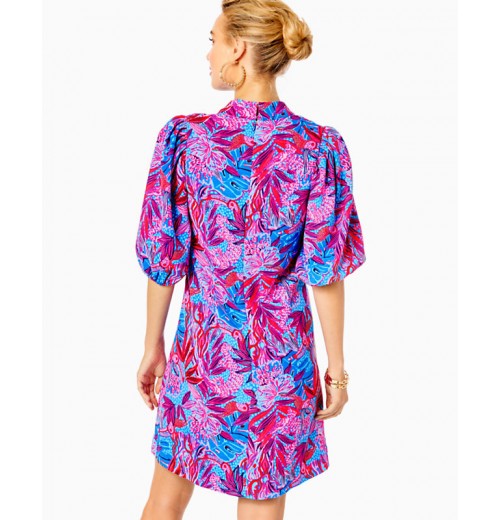 Arcella Dress Arcella Dress