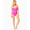 Flamenco One-Piece Swimsuit Flamenco One-Piece Swimsuit