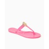 Hollie Jelly Sandal Hollie Jelly Sandal