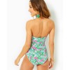Flamenco One-Piece Swimsuit Flamenco One-Piece Swimsuit