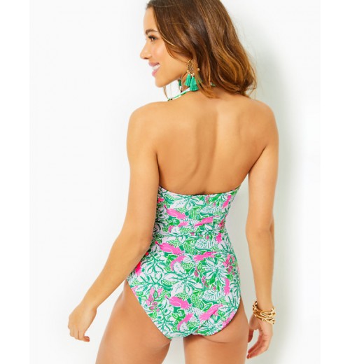 Flamenco One-Piece Swimsuit Flamenco One-Piece Swimsuit